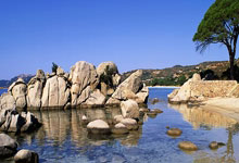 开云体育下载-法兰西风暴来袭！法国队实力诠释绿茵艺术之美