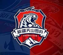 关于海南海口取得胜利,新疆天山雪豹难以奋起直追的信息 关于海南海口取得胜利,新疆天山雪豹难以奋起直追的信息