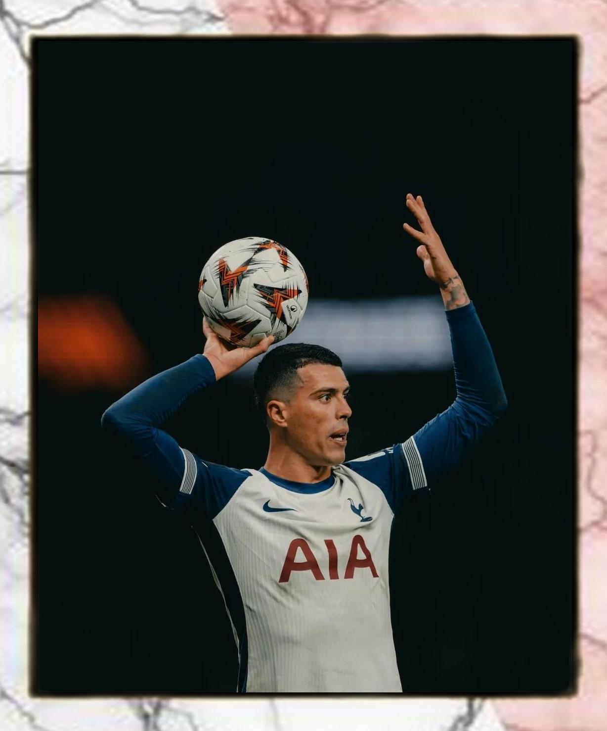 霍芬海姆队员表现出色,助球队逆转比赛的简单介绍 霍芬海姆队员表现出色,助球队逆转比赛的简单介绍