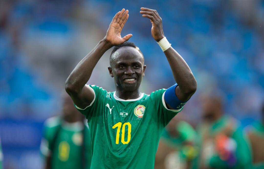 非洲杯赛的胜者将参加世界锦标赛 非洲杯赛的胜者将参加世界锦标赛