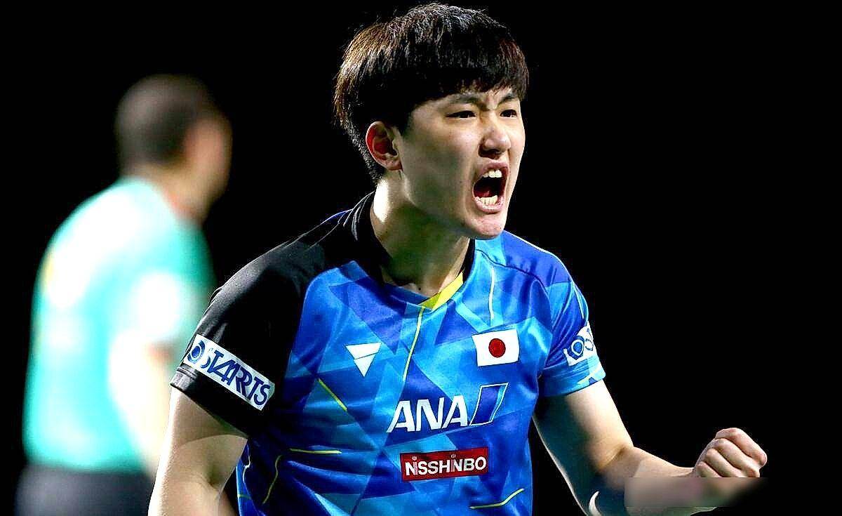 波兰队翻盘葡萄牙队,王皓带队取胜 波兰队翻盘葡萄牙队,王皓带队取胜